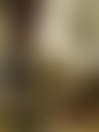 Die Klostersuppe (preview)