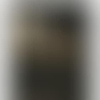 The Page No 12 (preview)
