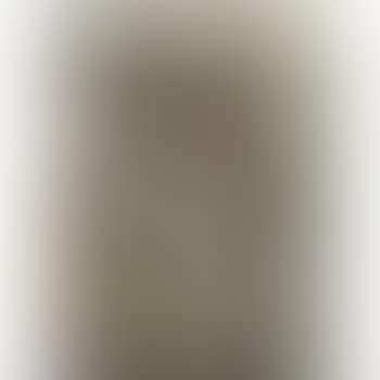 Abstract (preview)