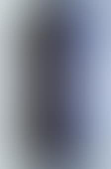 T1962-H8 (preview)