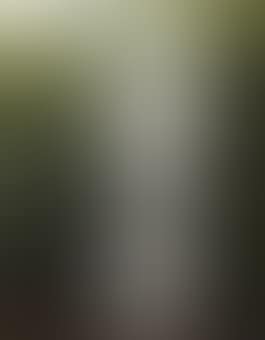 La Dame Blanche (preview)