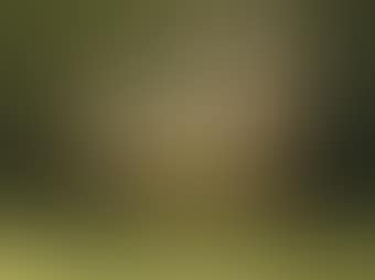 Lapin A Vent (preview)