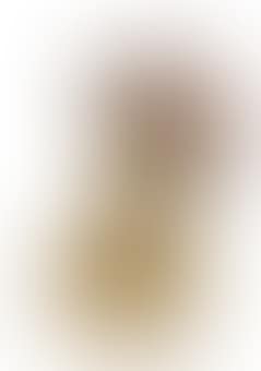 Study For a Rotten Apple Core, Two (preview)