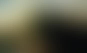 Paysage boise (preview)