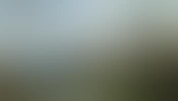 Mediterrane Kustenlandschaft (preview)