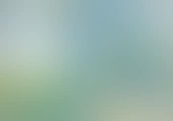 Paysage au printemps (preview)