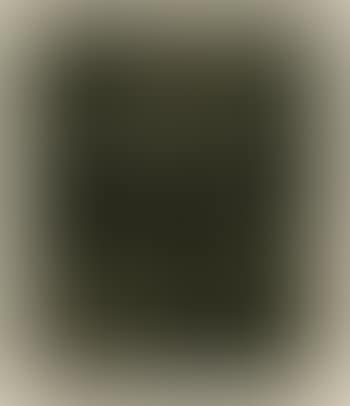 Das Volk (preview)