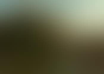 Gebirgslandschaft (preview)