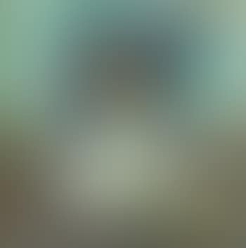 Still life with a painting (preview)
