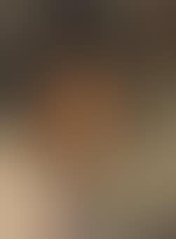 Portrait of an Indian Youth (preview)