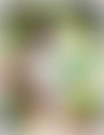 Verbrenne die Brucken (Burn Bridges), from the Images of the Human Body series (preview)