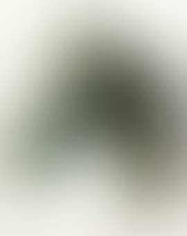 Autorretrato como Caballo de Carreras II (preview)