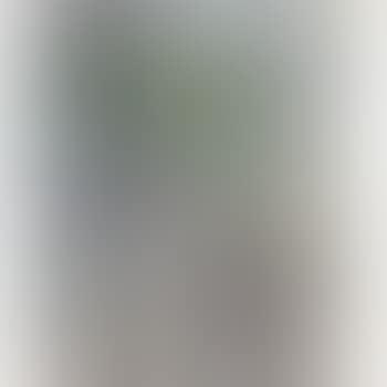 Boulevard De Sébastopol (preview)