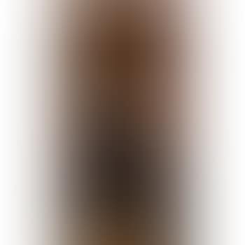 Salammbo (preview)