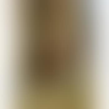 The Visit (preview)