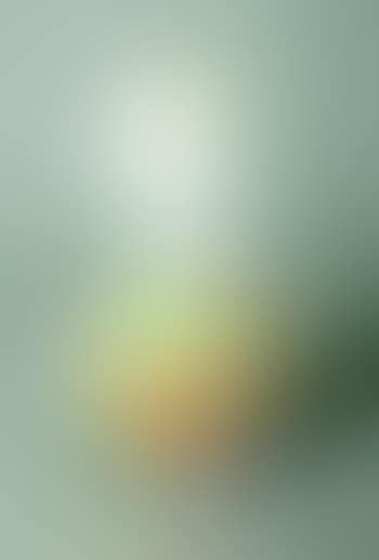 Oval (Peter Norton Christmas Project 2000) (preview)
