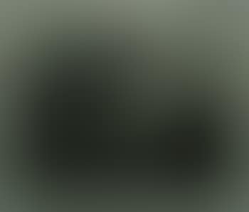 3 Shadow figure (preview)