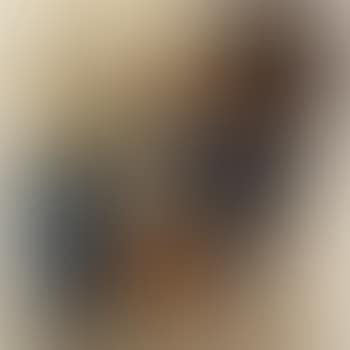 Untitled (preview)