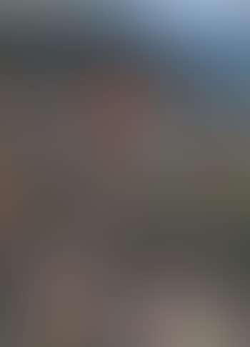 Les bigotes (preview)