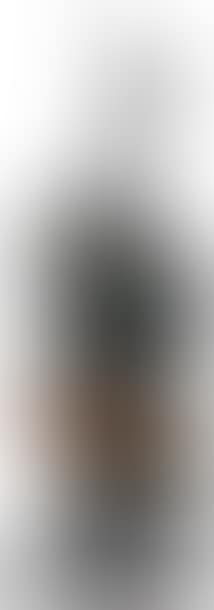 Violon calciné (preview)