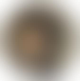 The head of a boy (preview)