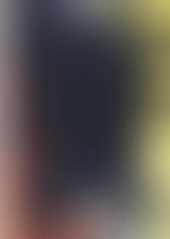 T1981. R4 (preview)