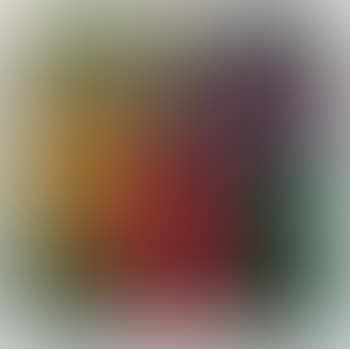Salvia splendida e ireos (preview)
