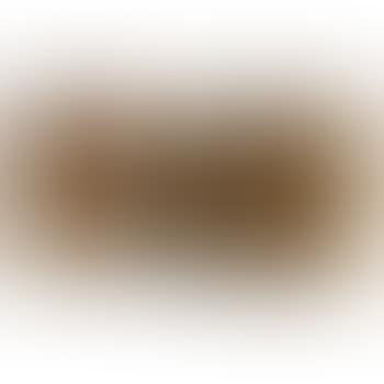De Slapende (preview)