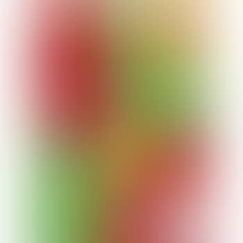 Purezza Nel Paese Dello Spirito (preview)