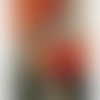 Gris Et Rouge (preview)