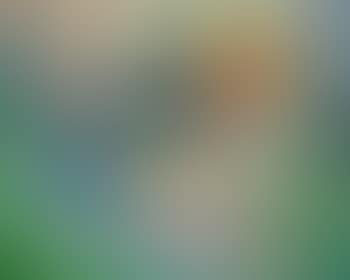 Paysage (preview)