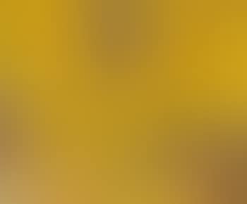Bouquet de fleurs jaunes (preview)