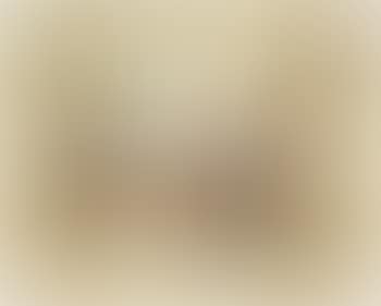 The discerning eye (preview)