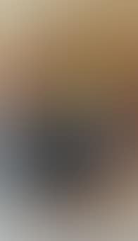 Untitled (Horses) (preview)