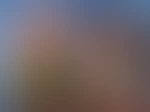 Compositie (preview)