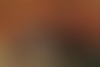 Chatte avec ses petits (preview)