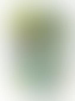 Compression (preview)