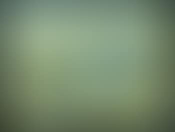 Composition (preview)