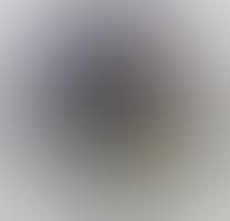 Quatre couleurs rond (preview)