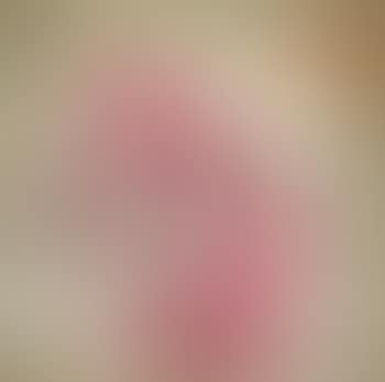 Carebear with chuckers pink (preview)