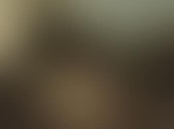 Elegant company playing Blind Man's Buff in a wooded landscape (preview)
