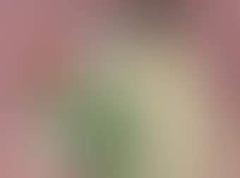 Little Nude with Fruits (preview)