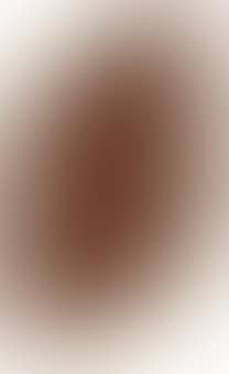 Untitled (Braun Kreuz Lemon) (preview)