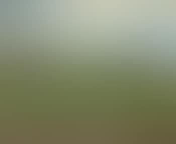 Paysage (preview)