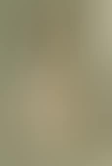 One hundred and fifty-eight medium- and small-sized moths, in seven columns. A wide range of families is represented... (preview)