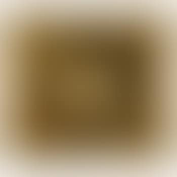 A Pug (preview)