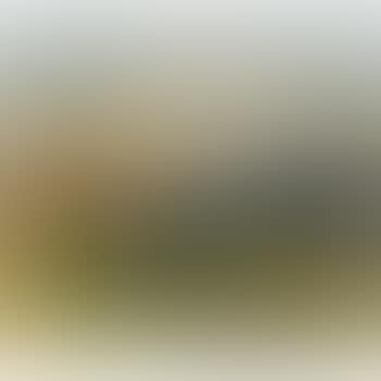 Exmoor Landscape (preview)