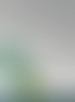 Vaso con Pianta Verde (preview)