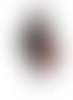 Untitled (preview)