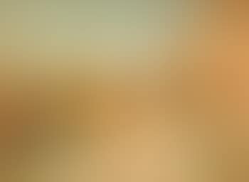 Venise (preview)